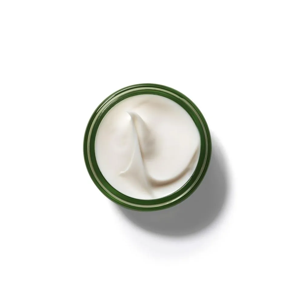 A Perfect World Antioxidant Moisturizer With White Tea Creme, 50 ml