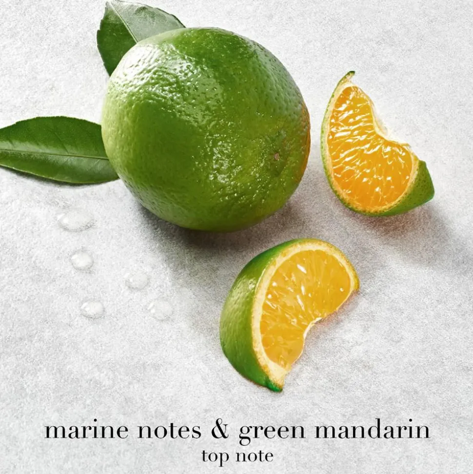 Acqua Di Giò Eau De Parfum, 100 ml