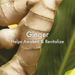 Ginger Essence Sensuous Fragrance Skin Scent, 100 ml