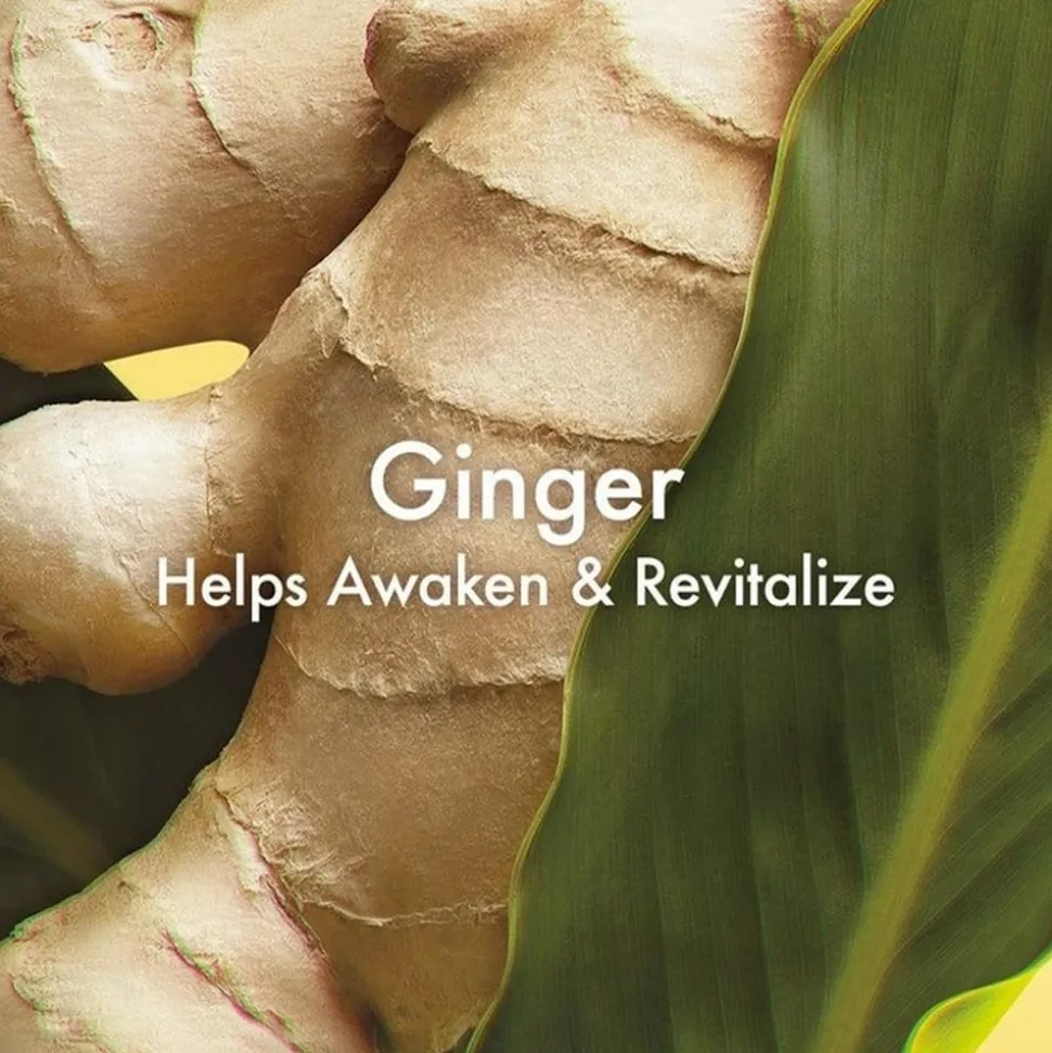 Ginger Essence Sensuous Fragrance Skin Scent, 100 ml