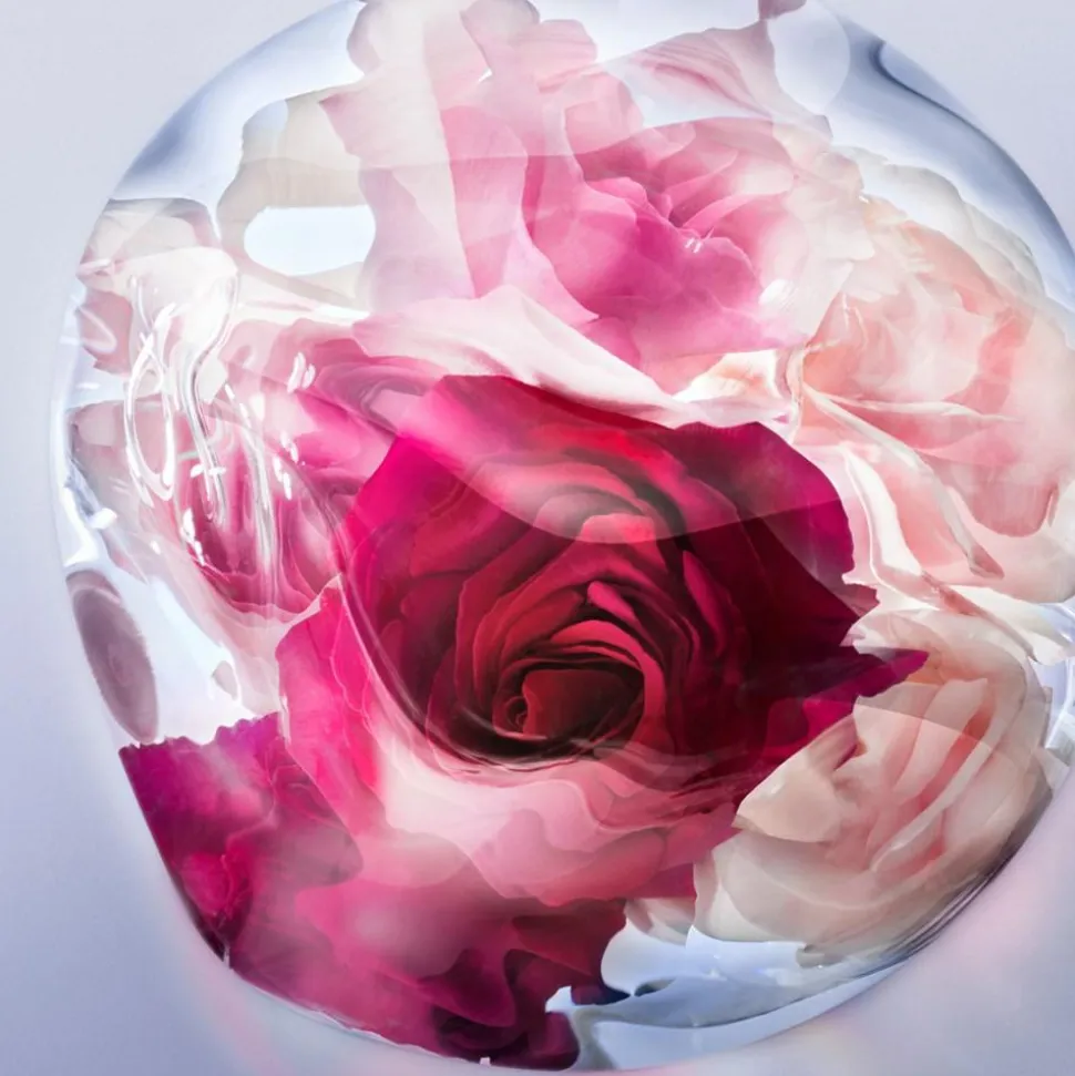 La Vie Est Belle Rose Extraordinaire Eau De Parfum, 100 ml