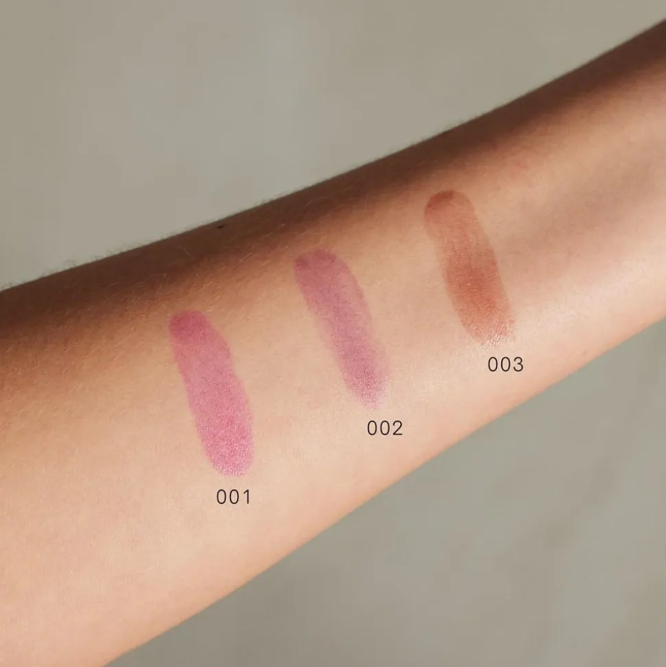 Lip Stain, Wild Berry