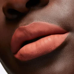 Locked Kiss Ink Lipcolour, Meticulous