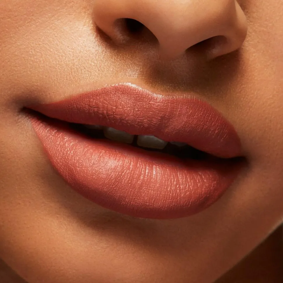 Locked Kiss Ink Lipcolour, Meticulous