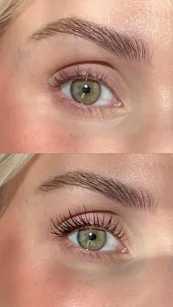 Mascara Intense, Brun
