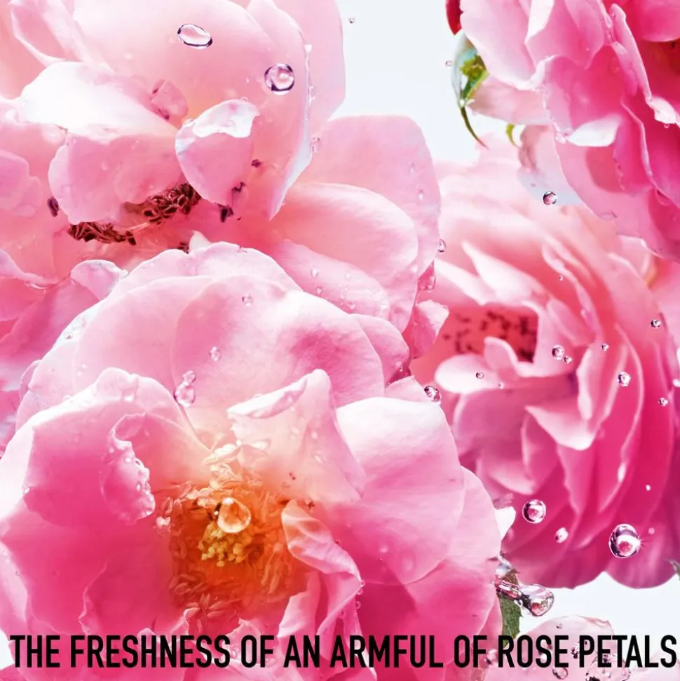 Miss Rose N'Roses, 50 ml