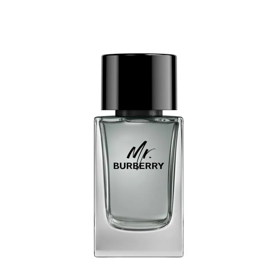 Mr. Eau De Toilette, 100 ml