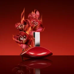 My Euphoria Eau De Parum, 50 ml