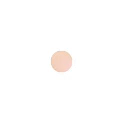 Pro Palette Eye Shadow, Brule