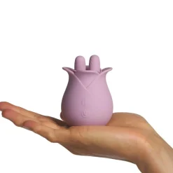 Rosa Klitoris Vibrator