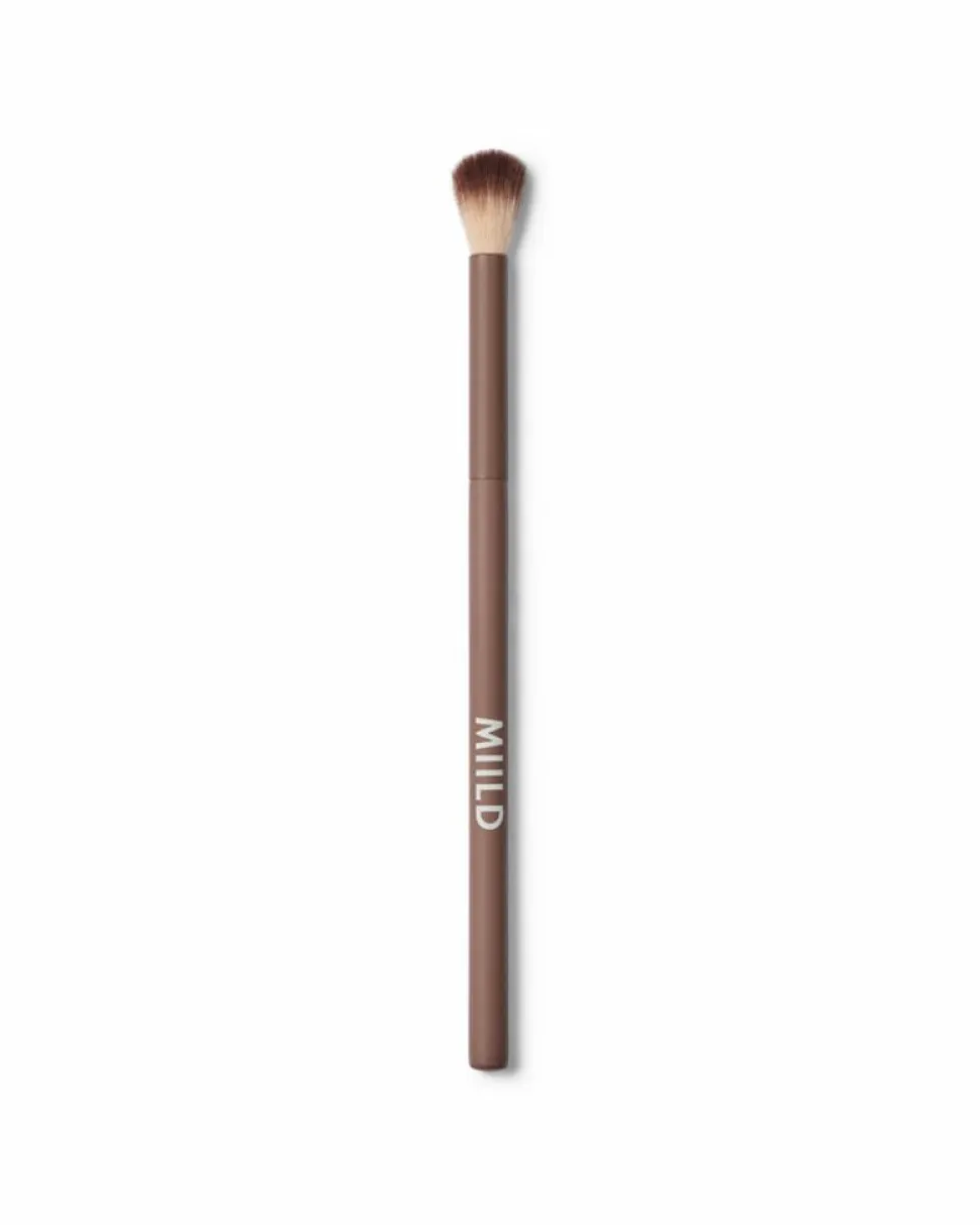 Soft Focus Blender Brush