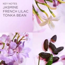 White Tea Lilac Eau De Toilette, 30 ml